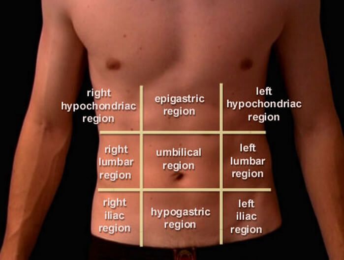 9 regions of abdomen